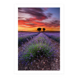 A Place To Dream (Print Only) thumbnail