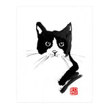 Stray Cat (Print Only) thumbnail