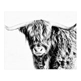 Highland bull (Print Only) thumbnail