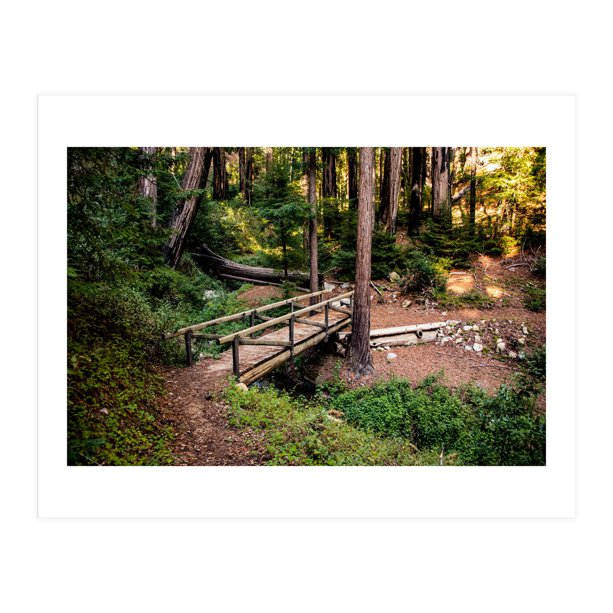 Ewoldsen Loop Bridge (Print Only)