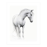 Horse Line Art (Print Only) thumbnail