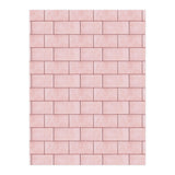 Blush Brick Imperfection (Print Only) thumbnail