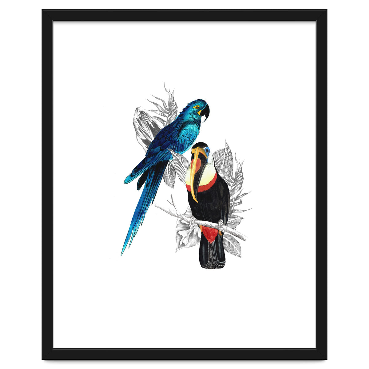 The Toucan and the Parrot