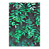 Greener (Print Only) thumbnail