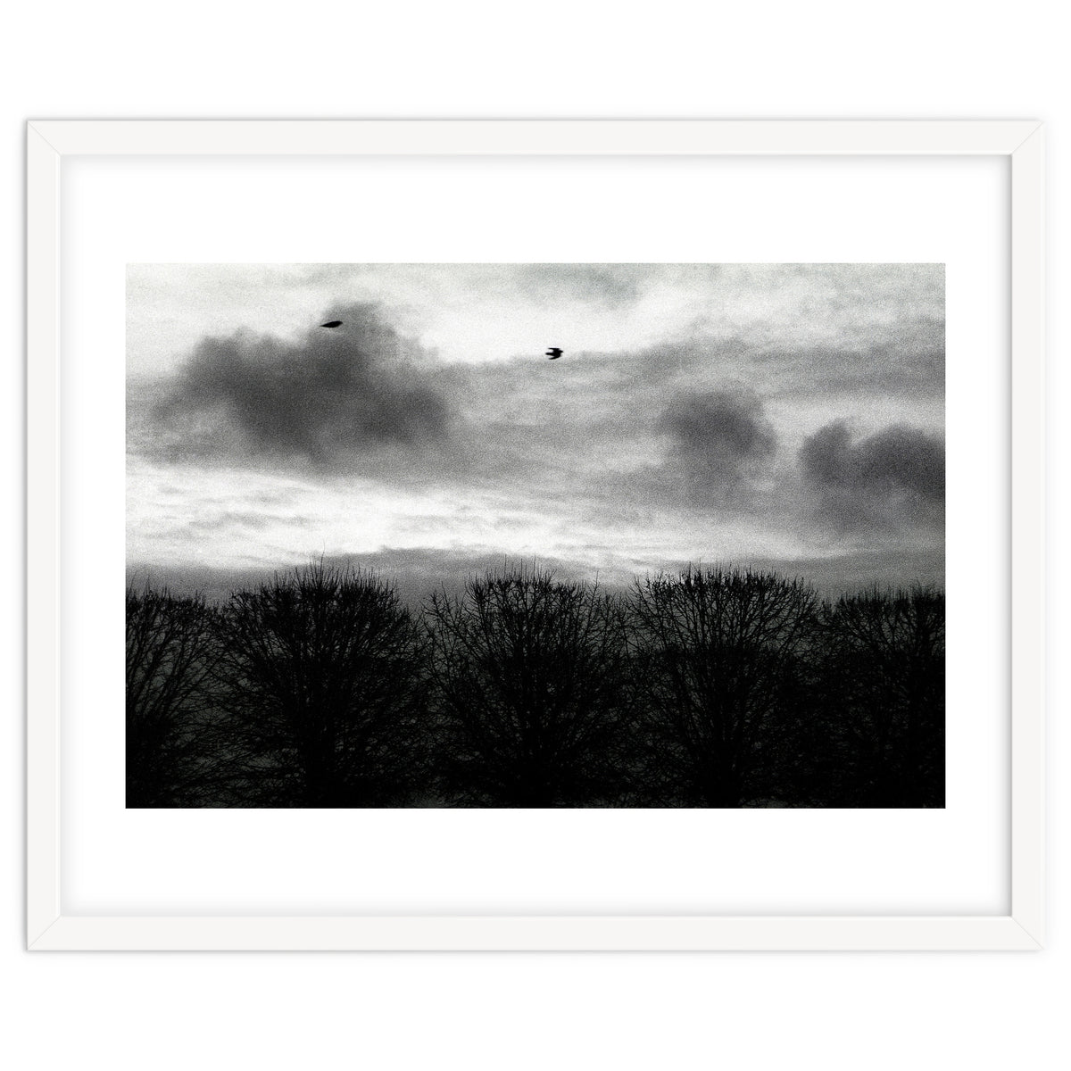 Winter mornig in Paris