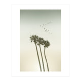 Vintage palm trees at sunset (Print Only) thumbnail