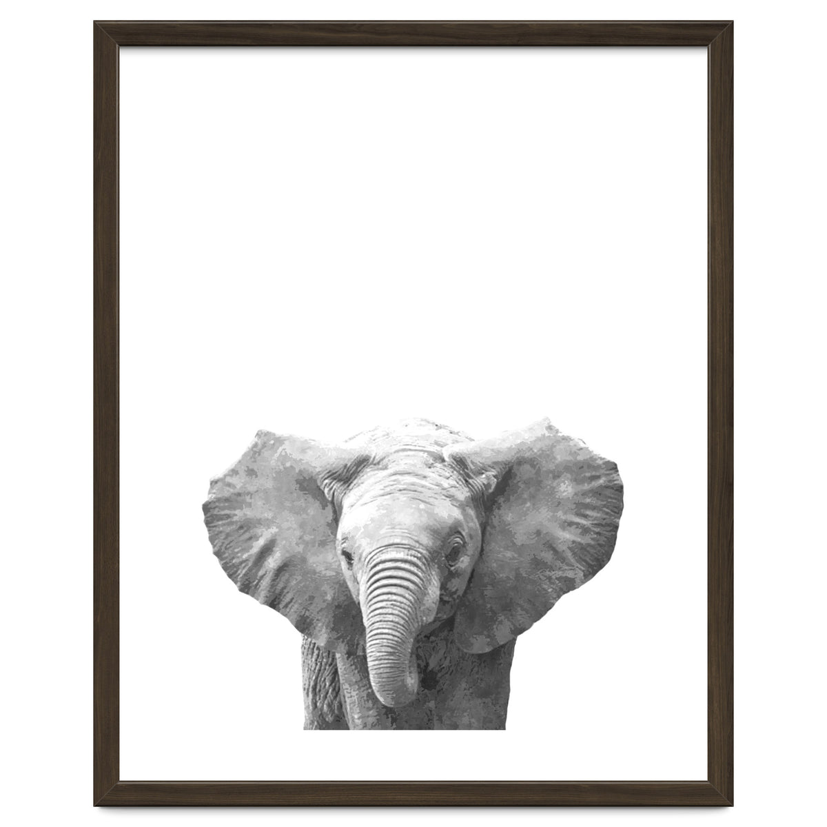 Black and White Baby Elephant