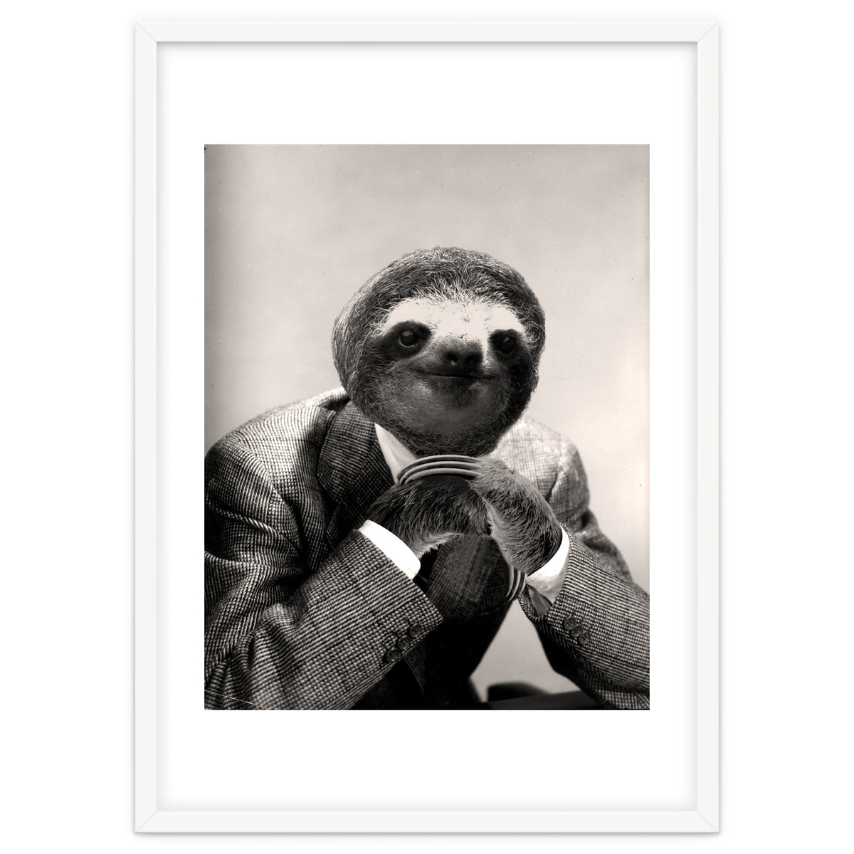 Gentleman Sloth 3