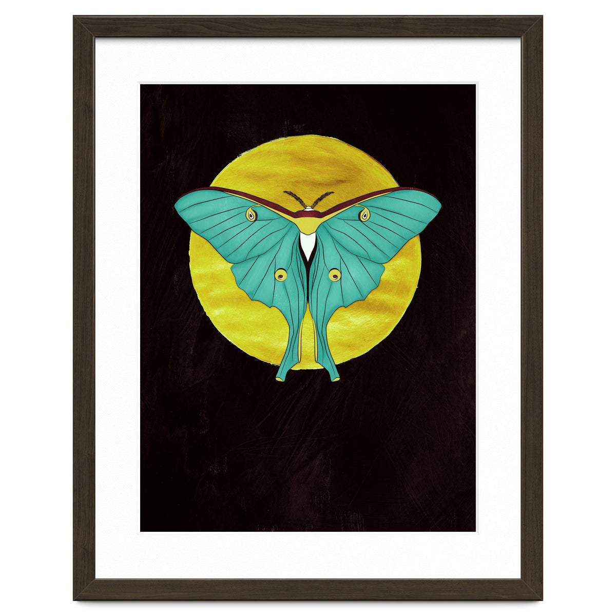 Luna Moth Moon