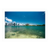 305 (Print Only) thumbnail