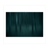 transience  (Print Only) thumbnail