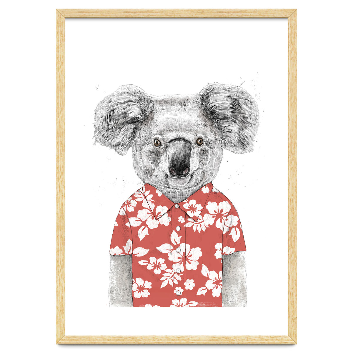 Summer Koala