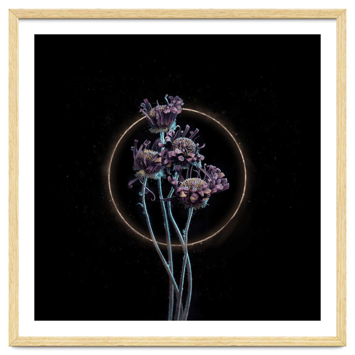 Candy-Coloured Mystery