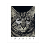 Imagine (Print Only) thumbnail