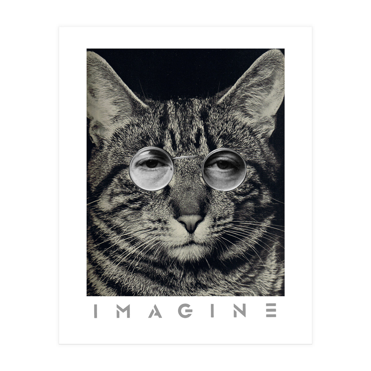 Imagine (Print Only)