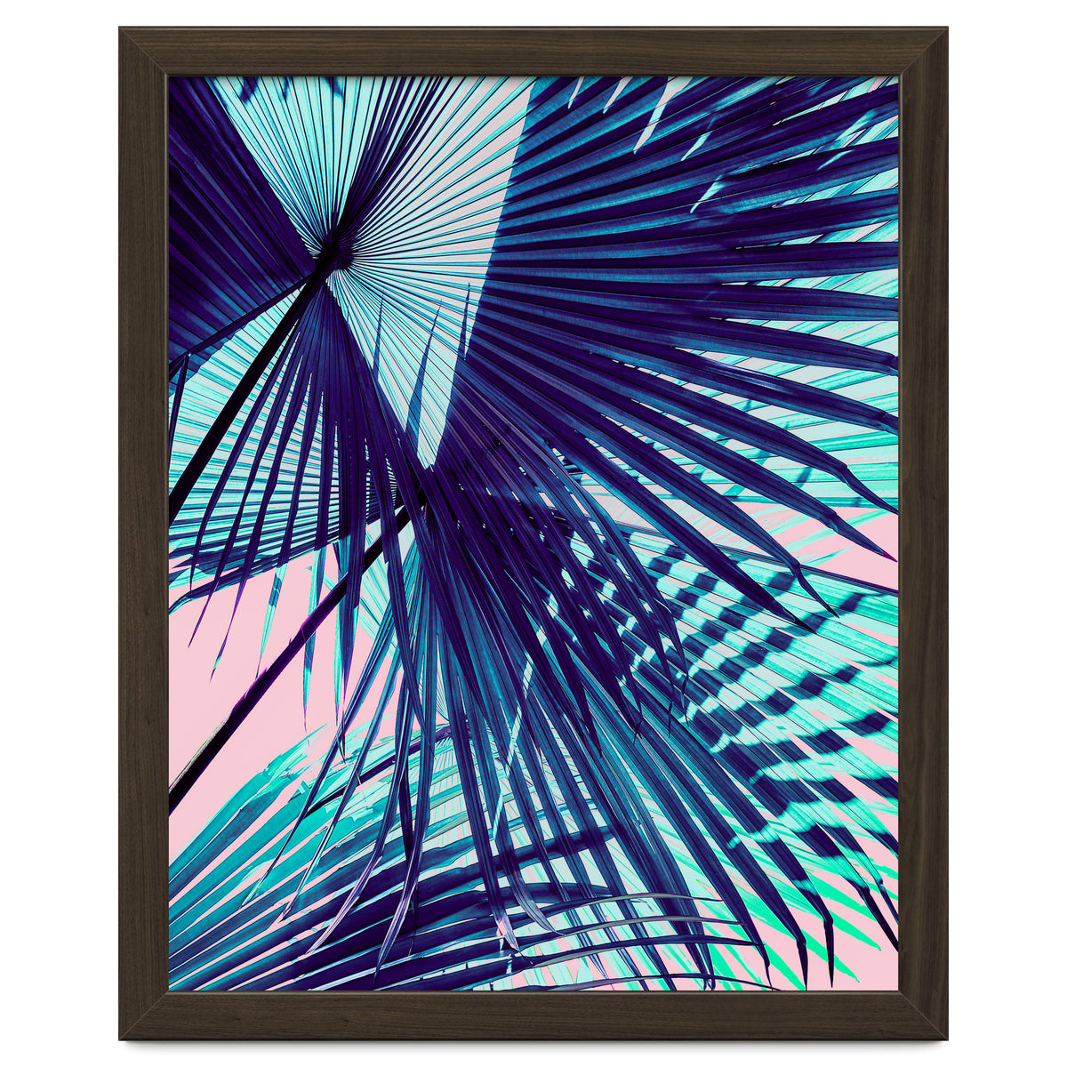Palm leaf on the beach