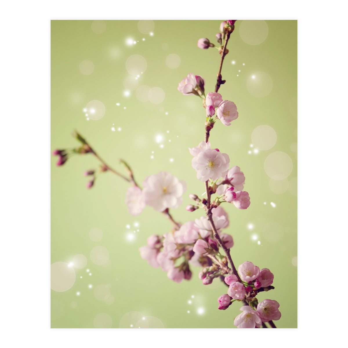 Springtime  (Print Only)