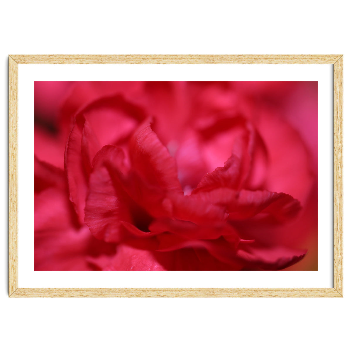Red Peony