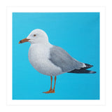 Seagull (Print Only) thumbnail