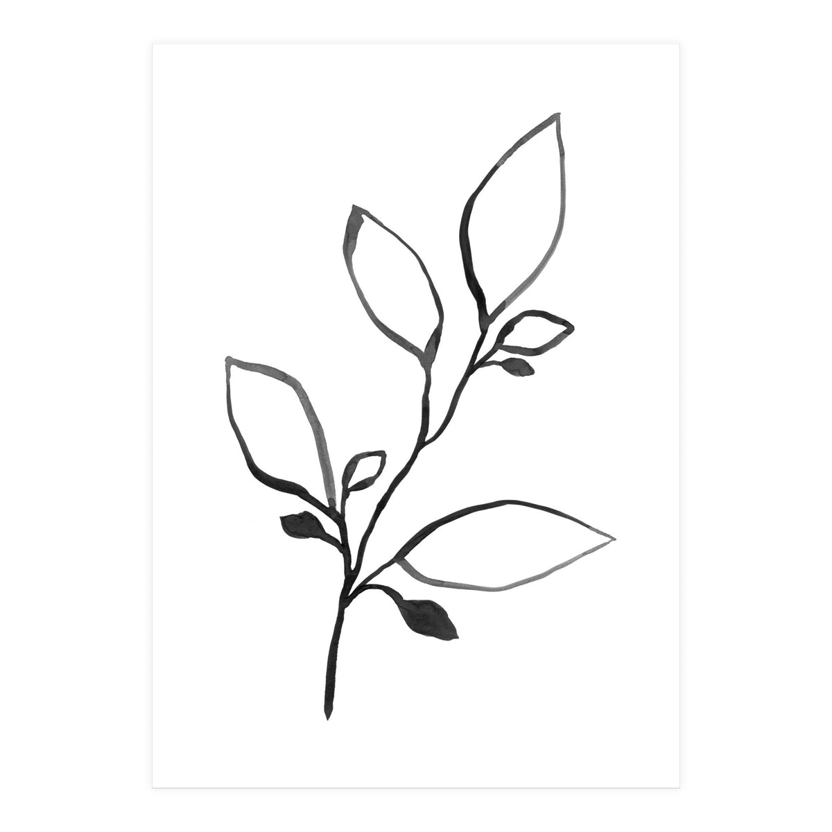 Ink Plant (Print Only)