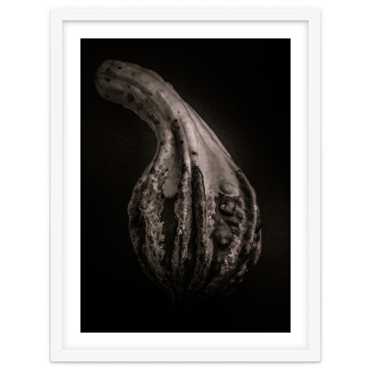 Gourds No 2