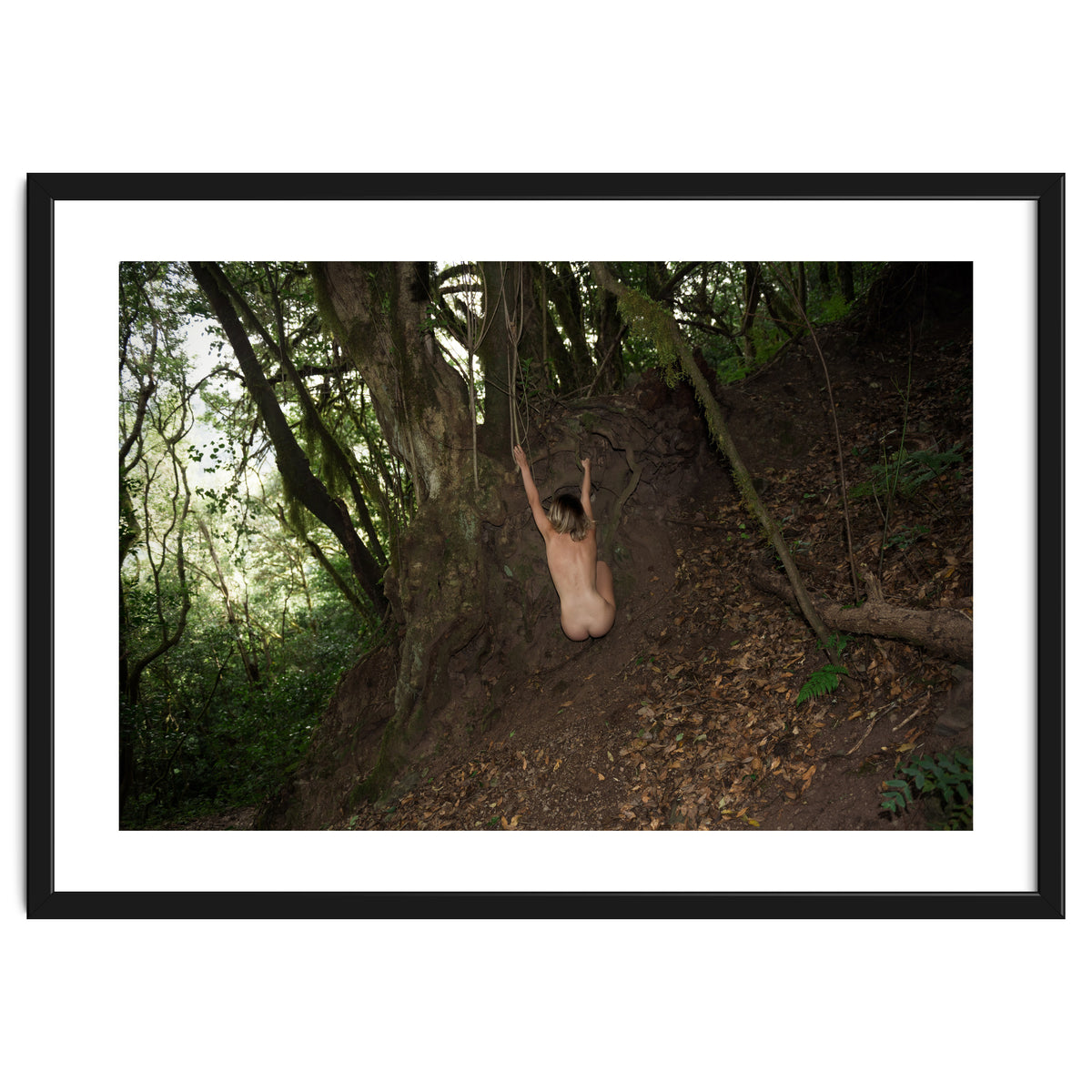 The kids Are all Wild