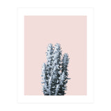 Cactus collection BL-III (Print Only) thumbnail