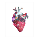 Superstar Heart (Print Only) thumbnail