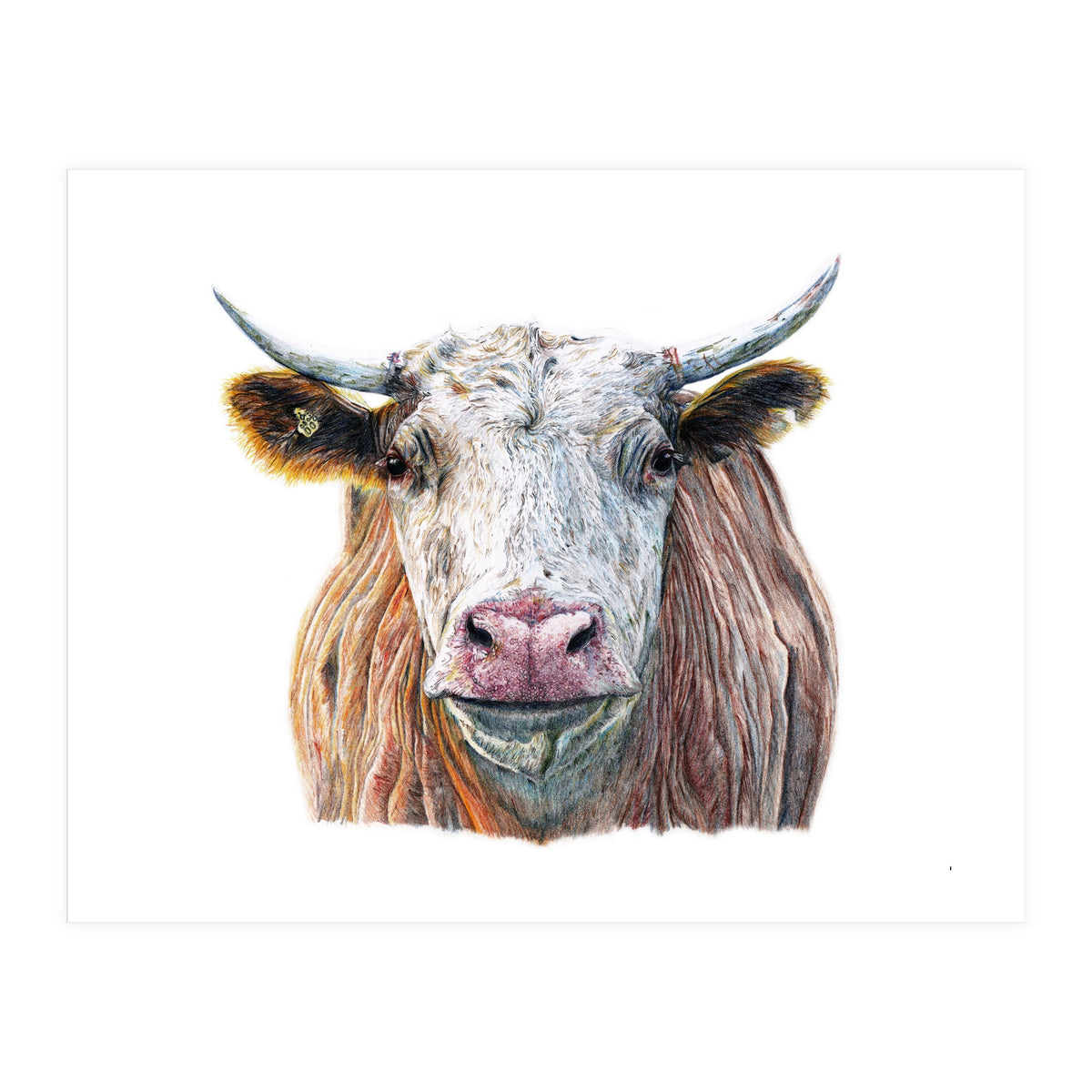 Cow No.1 (Print Only)