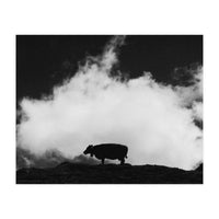 cow and cloud (Print Only)
