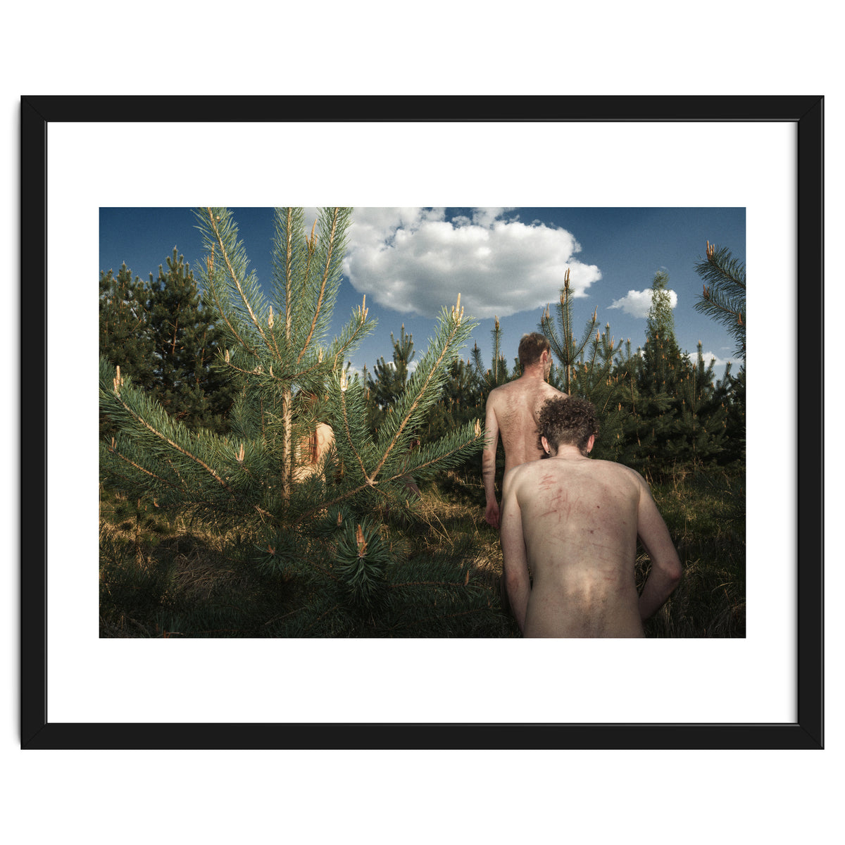 The kids Are all Wild