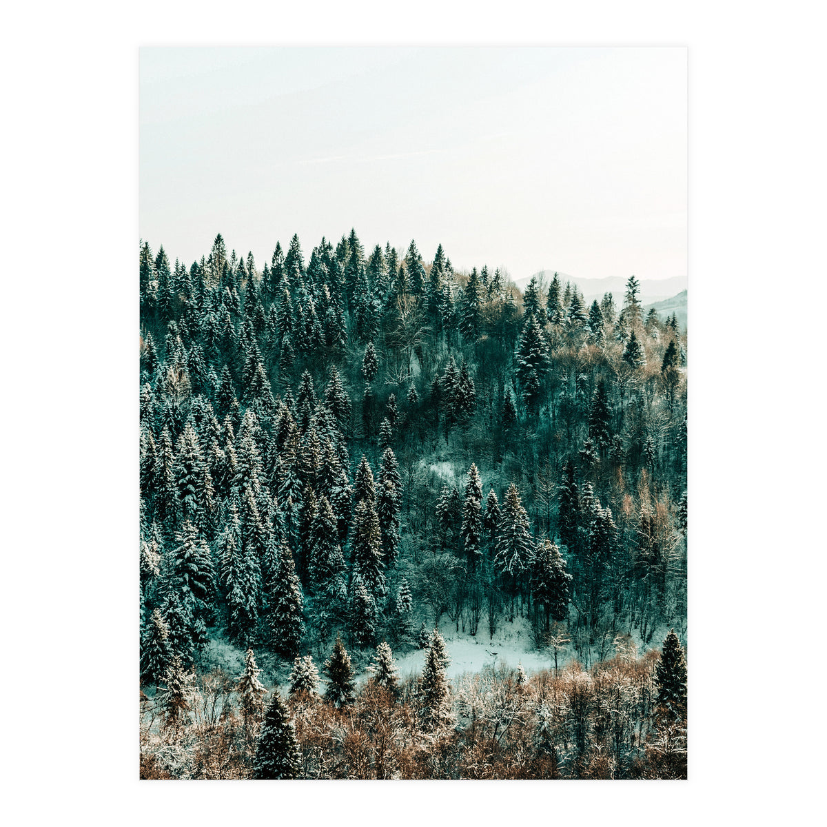 In The Wild (Print Only)