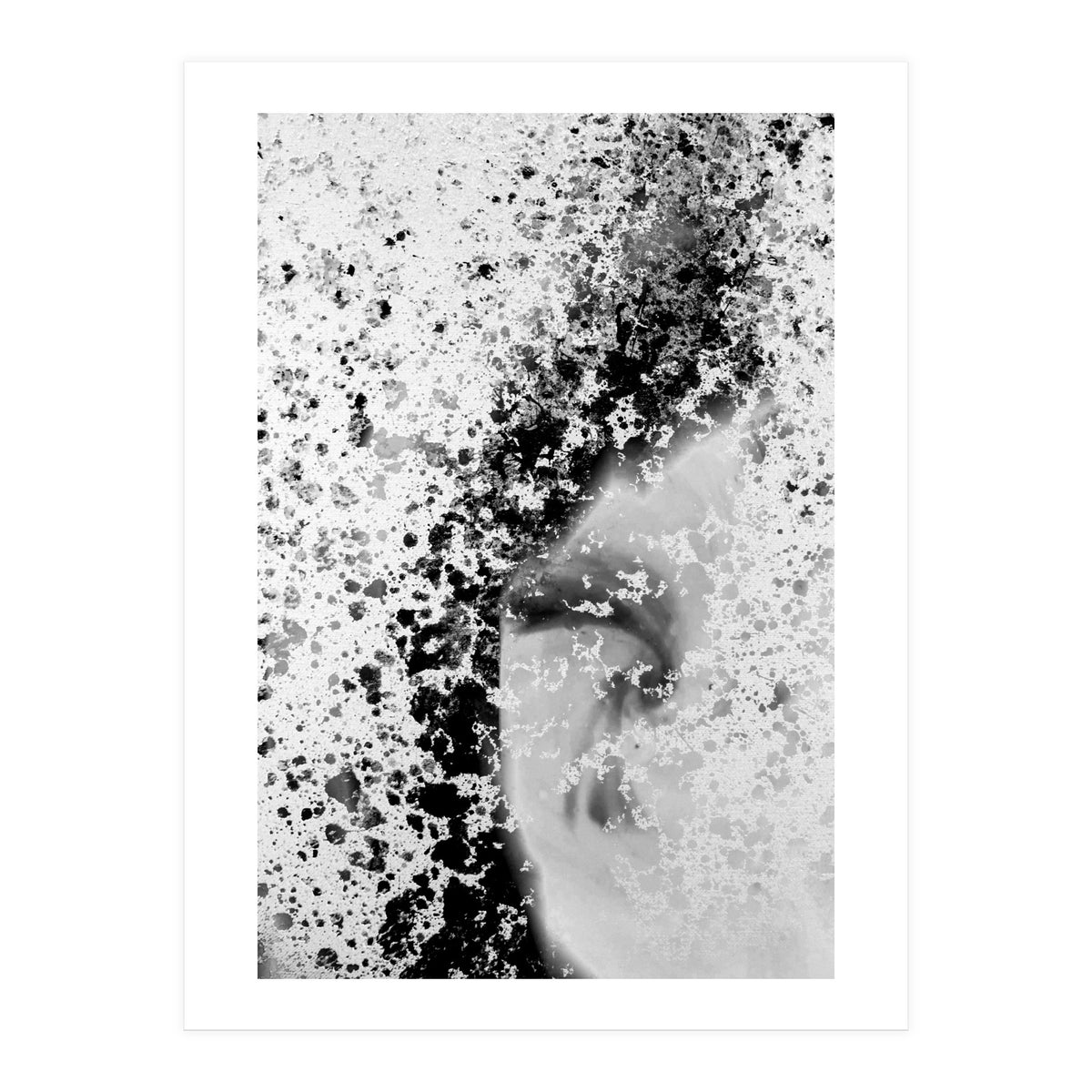 Prisma Black  (Print Only)