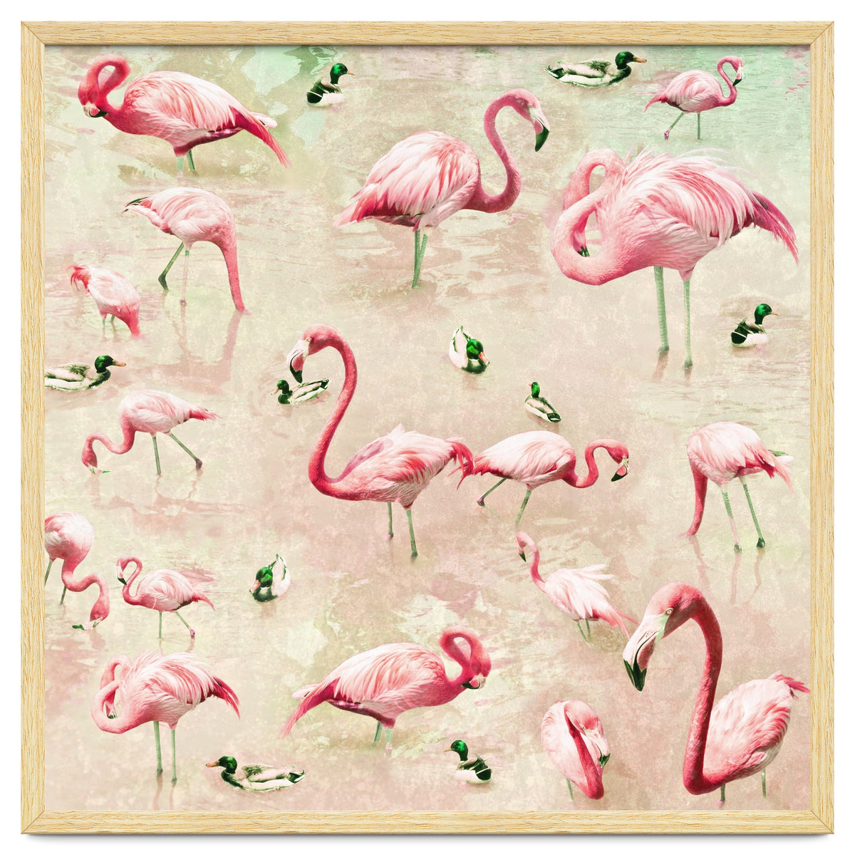 Flamingos Vintage Pink