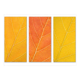 Autumn Leaves (Print Only) thumbnail