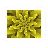 Spring Floral (Print Only) thumbnail