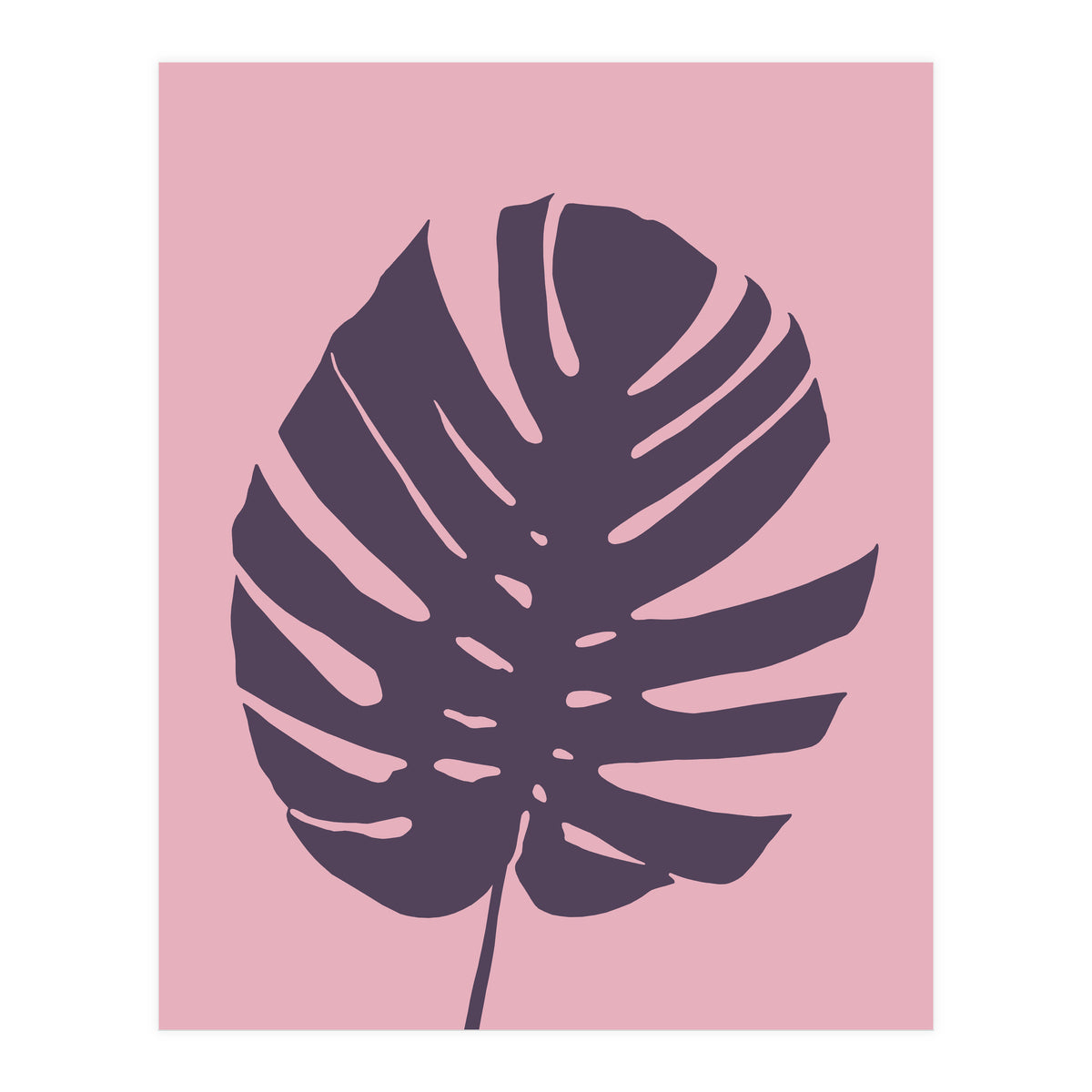 Monstera Deliciosa III (Print Only)