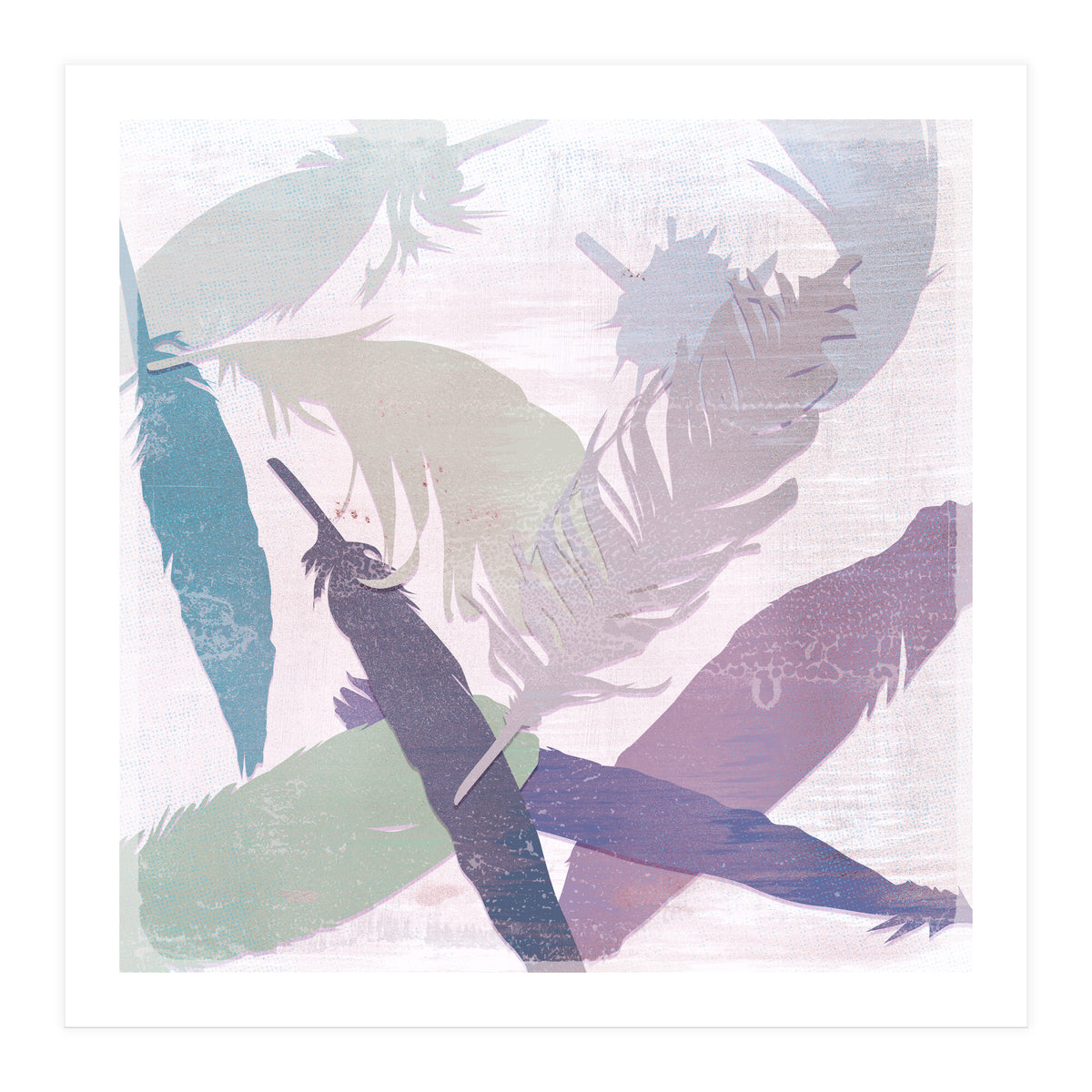 Feathers (Print Only)