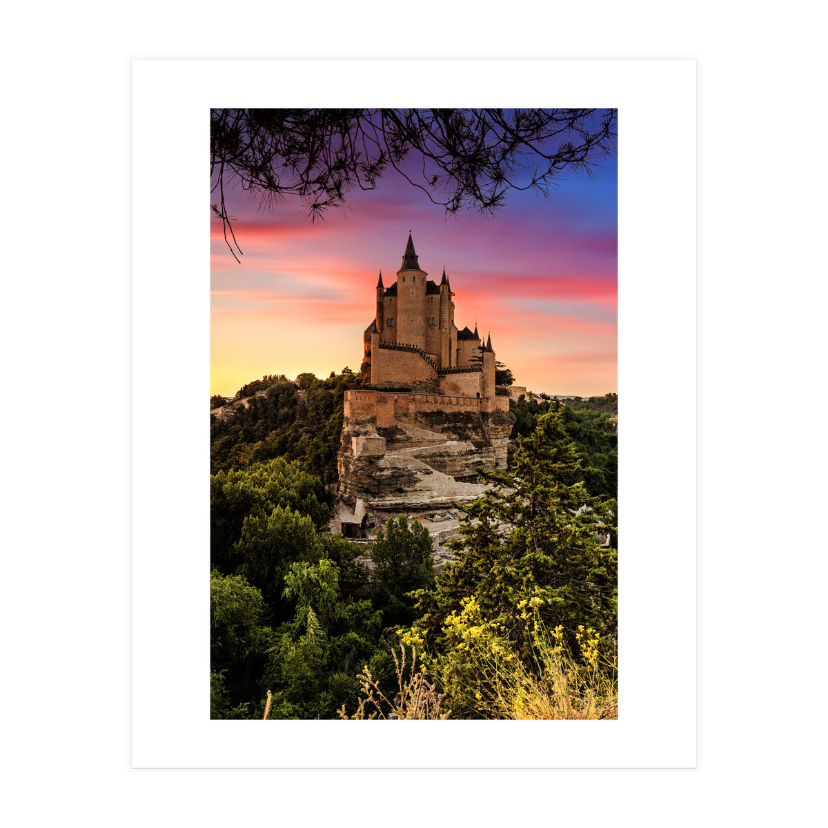 Daydream (Print Only)