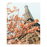 Paris in Spring | Travel Photography Eifel Tower | Wonder Building Architecture Love (Print Only) thumbnail