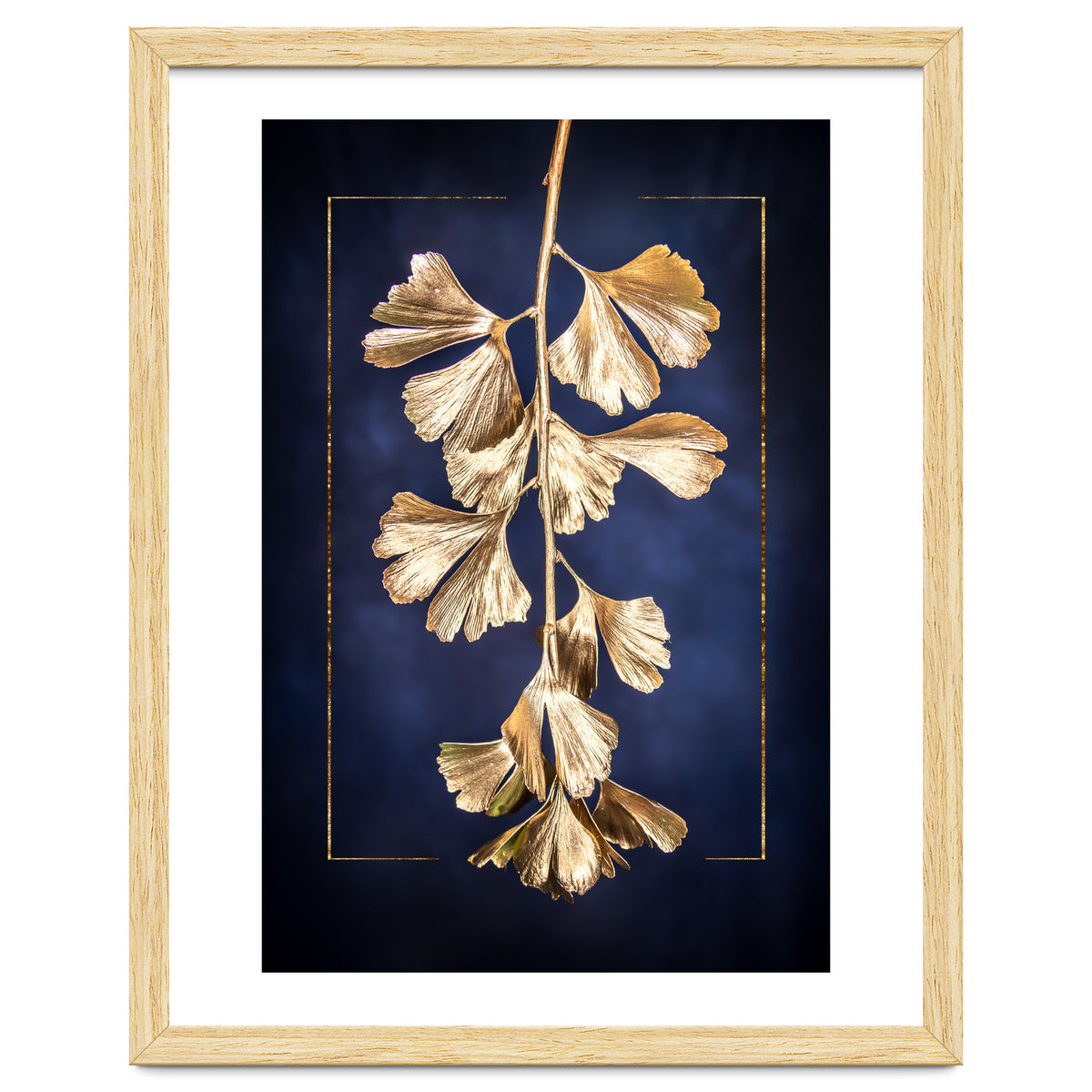 Golden Gingko Tree