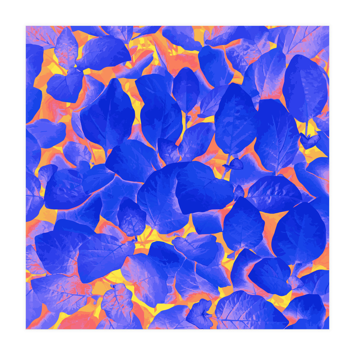 Supercontrast (Print Only)