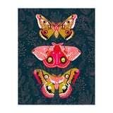 Lepidoptery Study No. 4 (Print Only) thumbnail