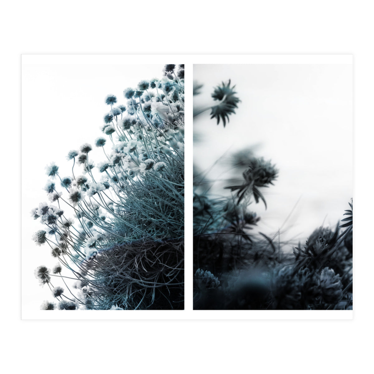 Andante (Print Only)