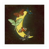 Moth moon (Print Only) thumbnail