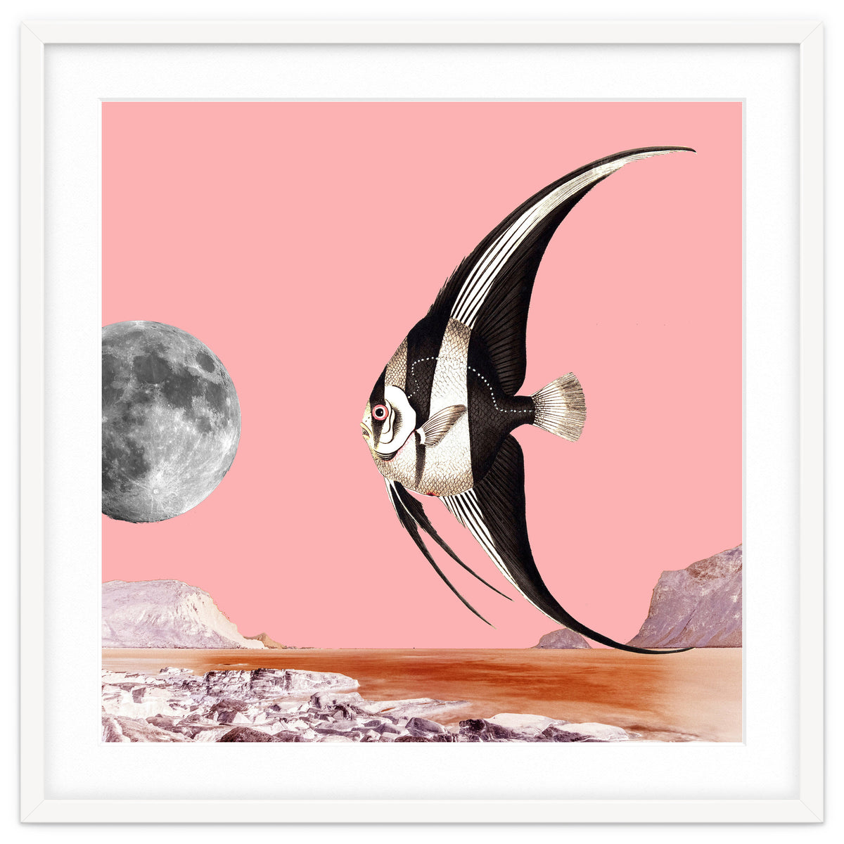 Plenty Of Fish In The Sea Pink