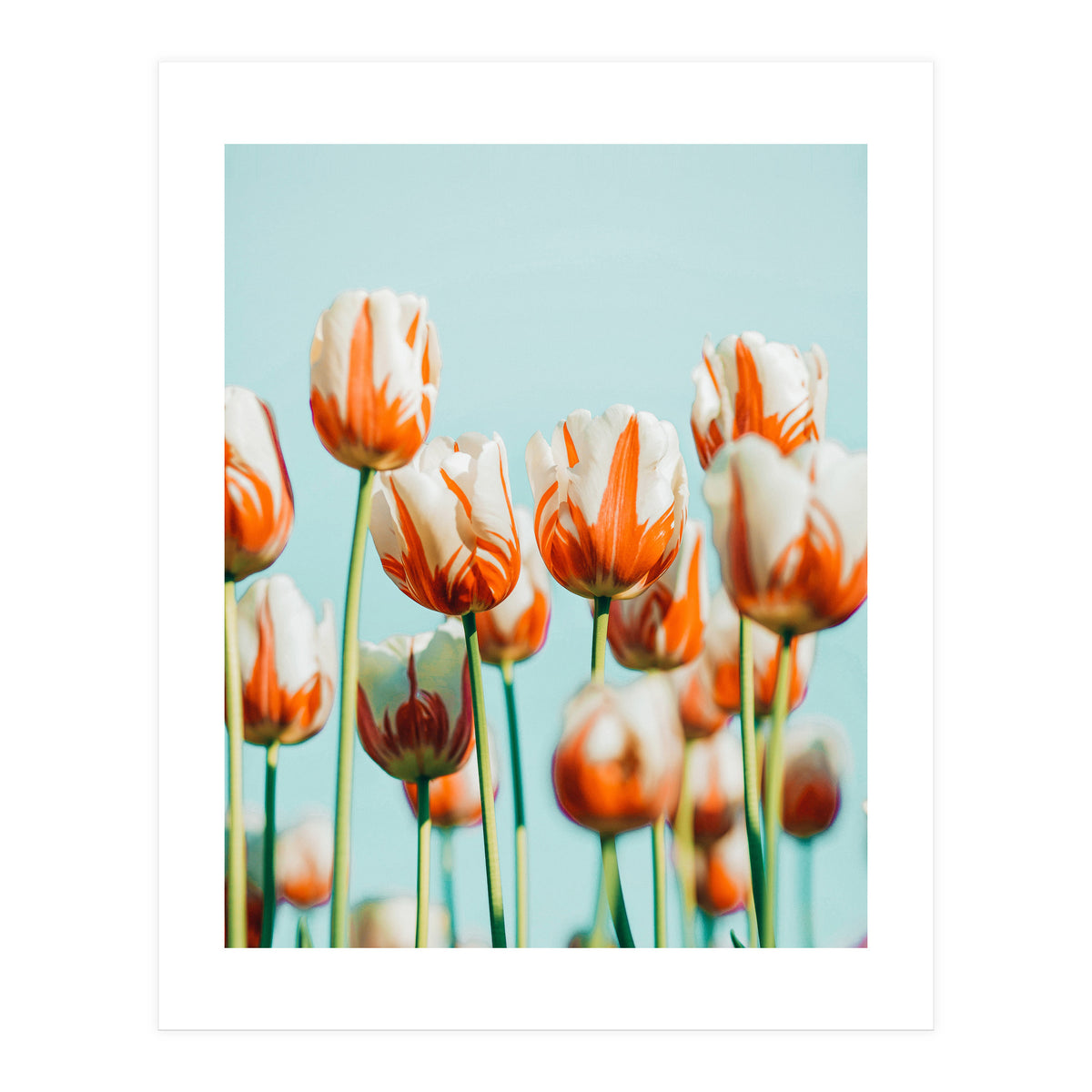 Estelle (Print Only)