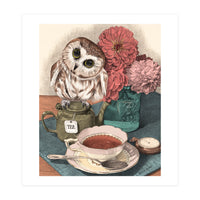 Sweet Little Tea Owl (Print Only)