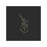 Delicate Golden Fynbos Botanicals on Black - Square (Print Only) thumbnail
