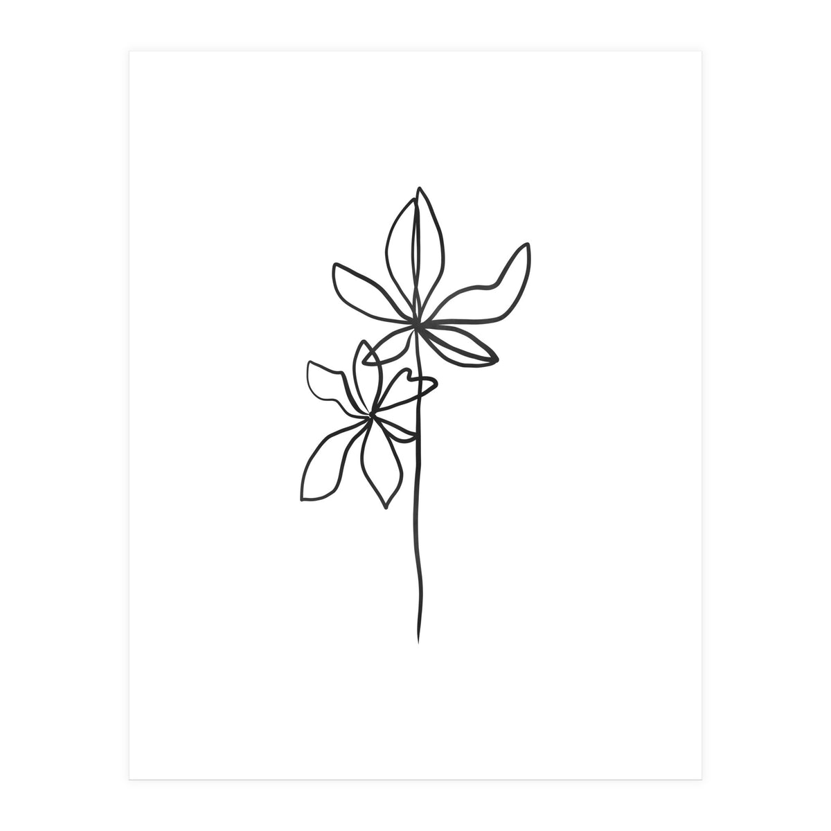 Lines Leaves I (Print Only)
